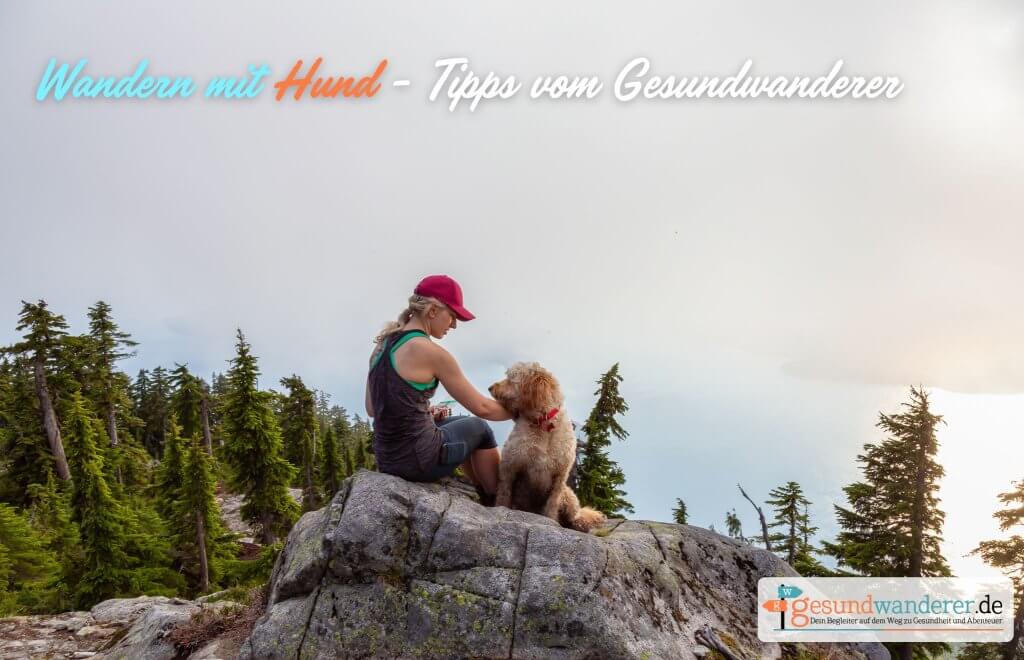 Wandern mit Hund - Gesundwanderer Blog Hilfe und Tricks bei der Wanderung